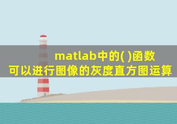 matlab中的( )函数可以进行图像的灰度直方图运算